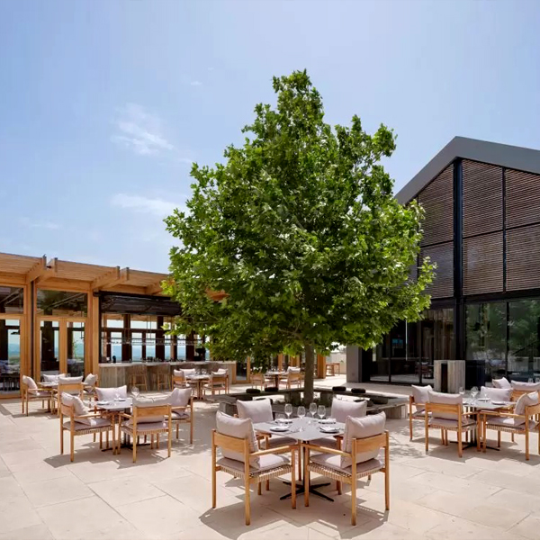 1. AMARACUS | MINTHIS RESORT, Πάφος   <small><br/><a class="popmake-7995">ΠΕΡΙΣΣΟΤΕΡΑ</a></small>
